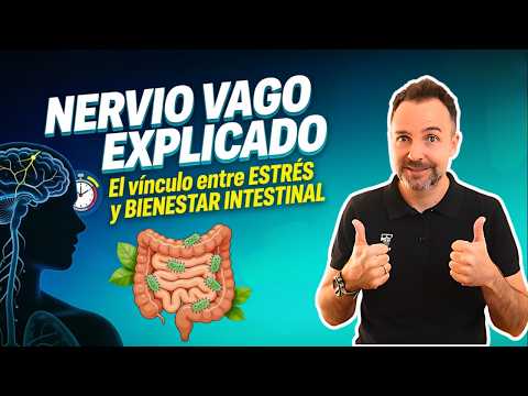 El NERVIO VAGO controla tu ansiedad y tu digestión (y casi nadie lo sabe